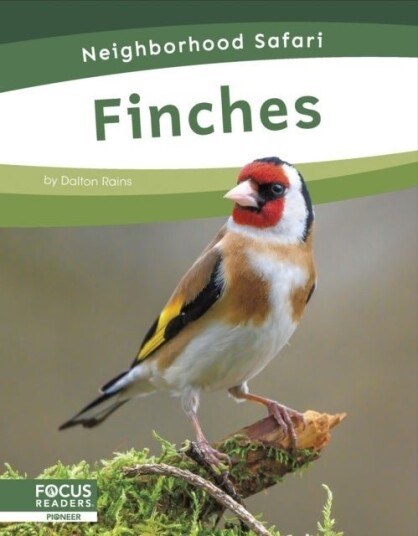 Finches Finches