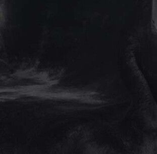 Natures Collection Saueskinnteppe Double Face Australien 140x200 cm Svart