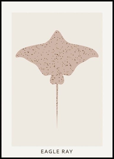 Eagle Ray Plakat Plakat / 21x30cm