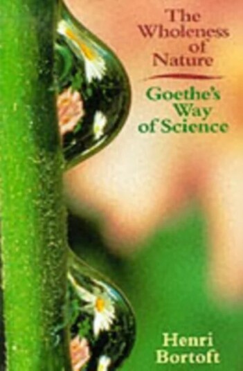 The Wholeness Of Nature Av Henri Bortoft