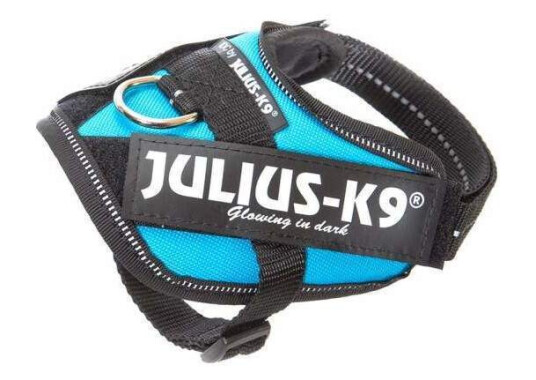 Julius-K9 Idc® Puppy Valpesele Aquamarine (Baby2) Julius-K9 Idc® Puppy Valpesele Aquamarine (Baby2)