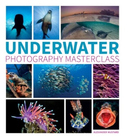 Underwater Photography Masterclass Av A Mustard