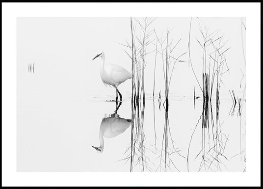 white Plakat / 100x150cm white Plakat / 100x150cm