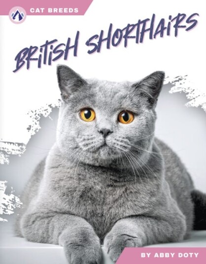 Cat Breeds: British Shorthairs Cat Breeds: British Shorthairs