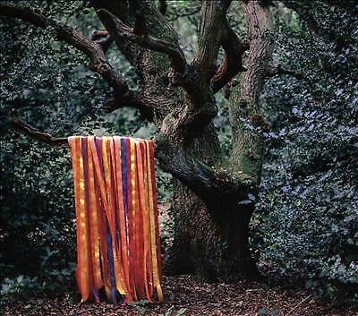 MediaTronixs James Holden & The Animal Spirits : The Animal Spirits CD (2017) Pre-Owned