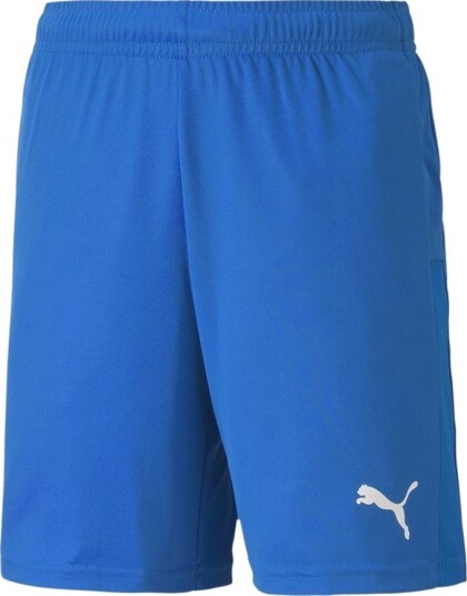 PUMA teamGOAL Knit Shorts Blå/PUMA White Barn størrelse YXS/116 cm