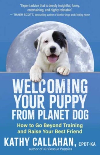 Welcoming Your Puppy from Planet Dog How to Bridge the Culture Gap, Go Beyond Training and Raise Your Best Friend Welcoming Your Puppy from Planet Dog How to Bridge the Culture Gap, Go Beyond Training and Raise Your Best Friend