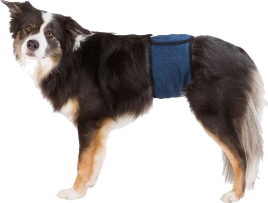Trixie Hanhund Magebelte XL - Mørkeblå Hundepleie