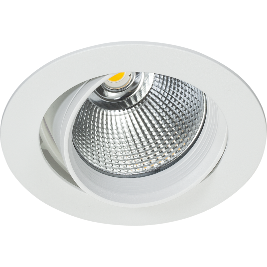 Easyform Silver Downlight justerbar 360°/ 20° 30W Belysning