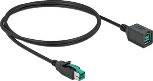Delock Poweredusb Extension Cable Usb Pluspower 12 V Hann Til Usb Pluspower 12 V Hunn 12 V 3 M Svart