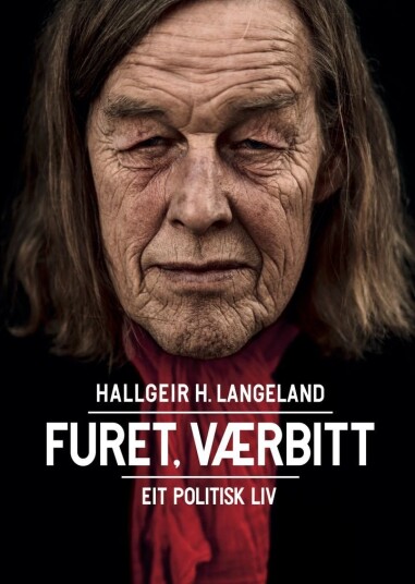 Furet værbitt Furet værbitt