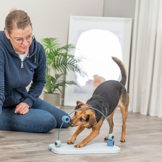 Trixie Dog Activity Skills Loop Aktiveringsleke For Hunder