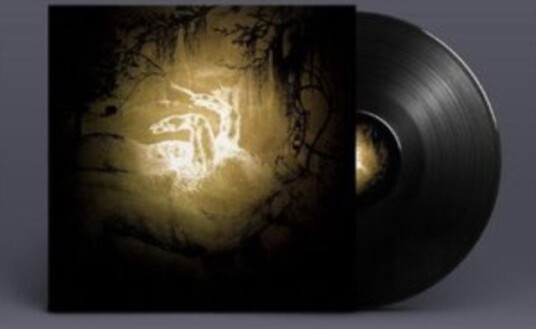 Polar Bear Held On The Tips Of Fingers Uk Vinyl