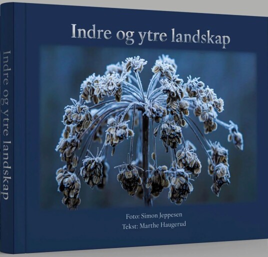 Indre Og Ytre Landskap Av Marthe Haugerud