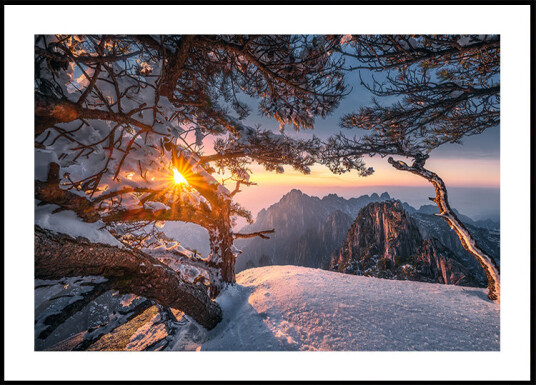 Yellow Mountain and Strange Pine after Snow Plakat Plakat / 30x40cm Yellow Mountain and Strange Pine after Snow Plakat Plakat / 30x40cm