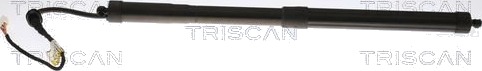 TRISCAN 8710 13302 Baklukedemper