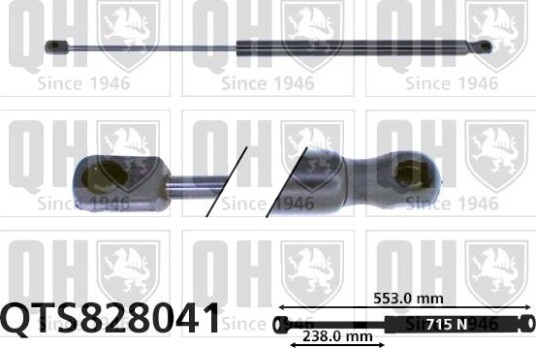 QUINTON HAZELL QTS828041 Baklukedemper
