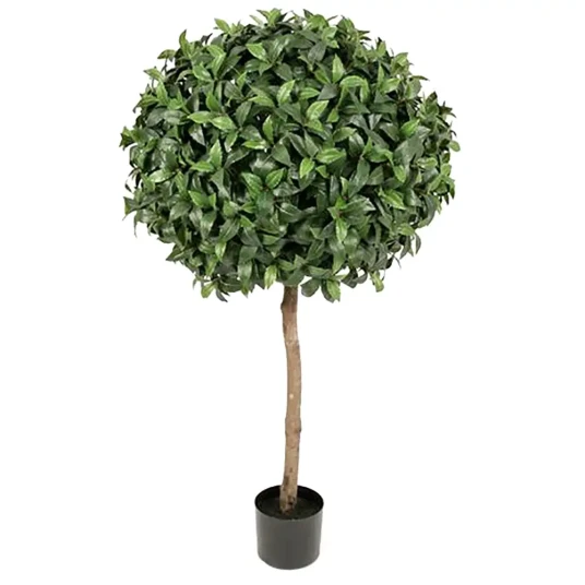 Mr Plant Lagerbladtre 135 cm Mr Plant Lagerbladtre 135 cm
