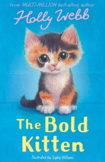 The Bold Kitten The Bold Kitten