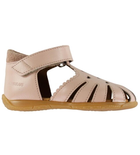 ANGULUS Sandals - Flat - Closed Toe - Pink - 23