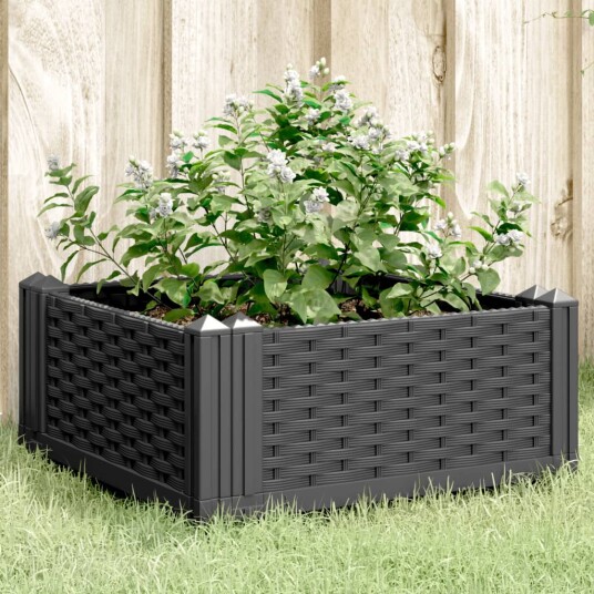 Plantekasse med plugger svart 42,5x42,5x28,5 cm PP