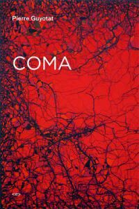 Coma Av Pierre Guyotat Coma Av Pierre Guyotat