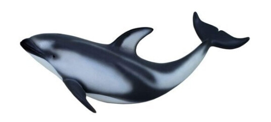 Figur Collecta Kvitnosdelfin 12,8cm Figur Collecta Kvitnosdelfin 12,8cm