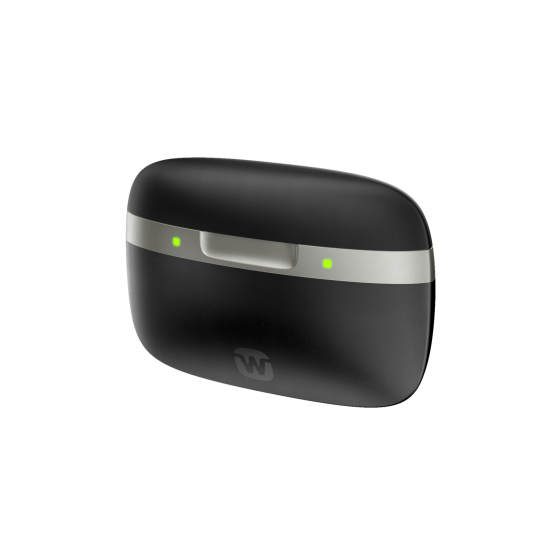 Widex SmartRIC Charger