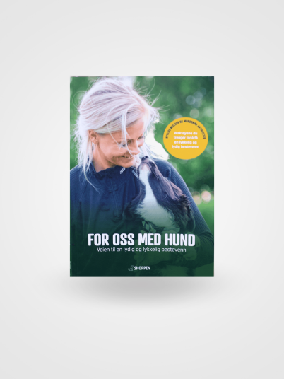 Veien Til En Lydig Og Lykkelig Bestevenn