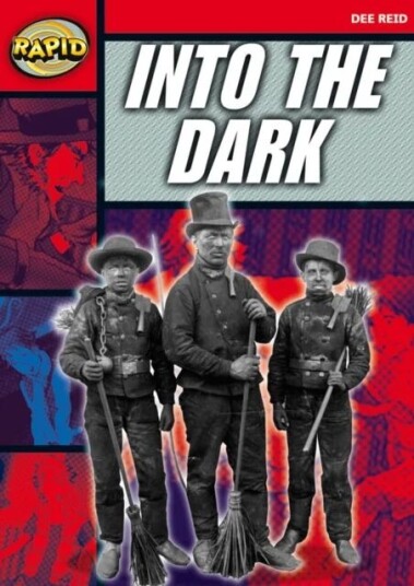 Rapid Reading: Into The Dark (Stage 5, Level 5a) Av Dee Reid