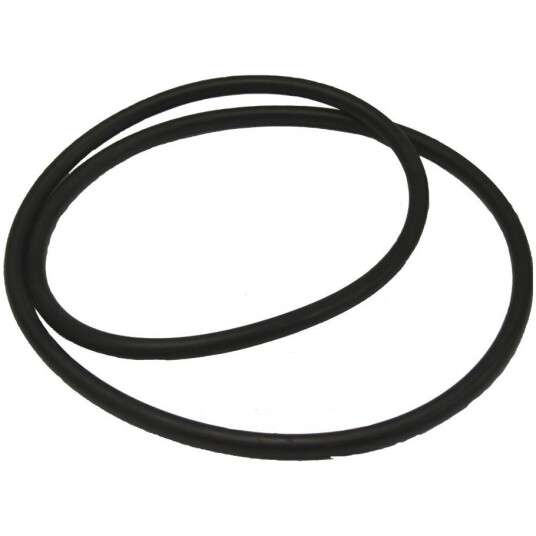 BioClear XL/Pondlink O ring