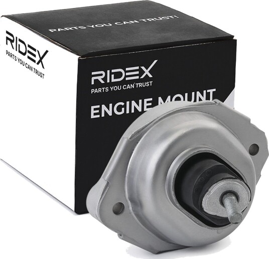 RIDEX 247E0437 Motorfeste