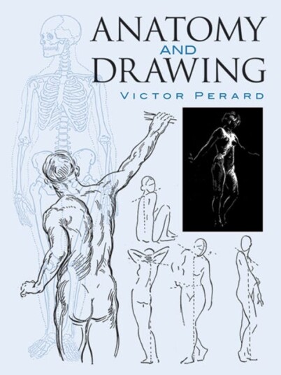 Anatomy and Drawing Anatomy and Drawing