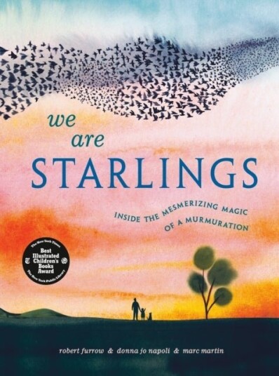 We Are Starlings We Are Starlings