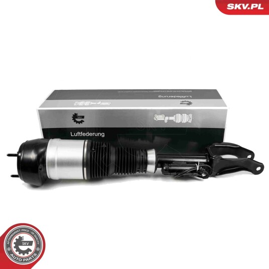 ESEN SKV 58SKV717 Luftdempere