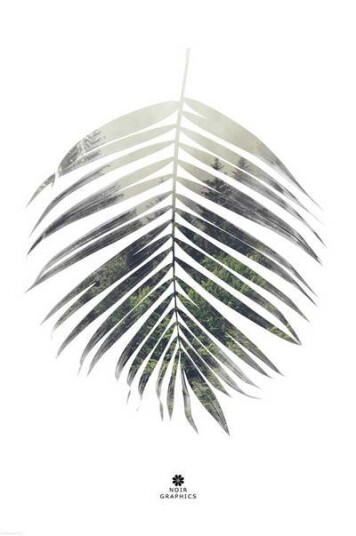 Malerifabrikken Poster Palm leaf 1609111-01-136