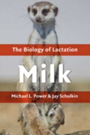Milk