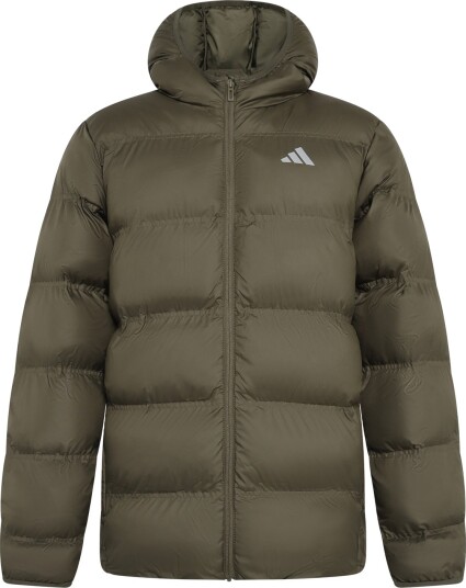 Adidas Sportswear J Sd Jkt Khaki green 176