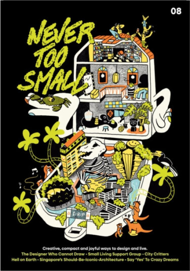 Never Too Small  A Dazzling Journey Through Colour, Culture, and Compact Living 8