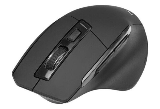 Tracer Cozy - mouse - 2.4 GHz - black - Mus - Optisk - 6 - Svart