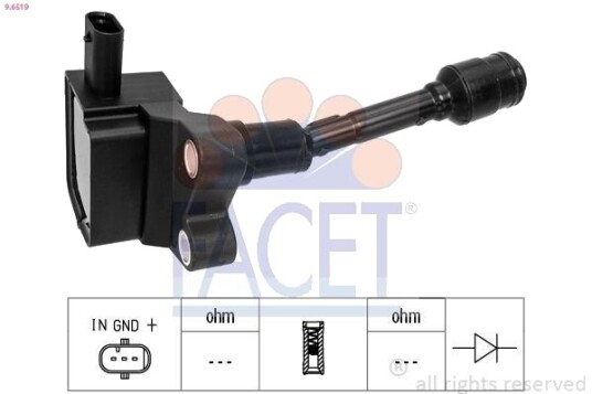 Tennspole FACET 9.6519