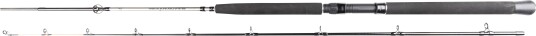 Daiwa Seahunter Trolling 8-9