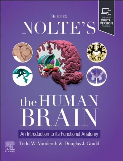 Nolte's The Human Brain  An Introduction to its Functional Anatomy