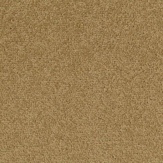 Teppeflis   DESSO Palatino   A072 2036