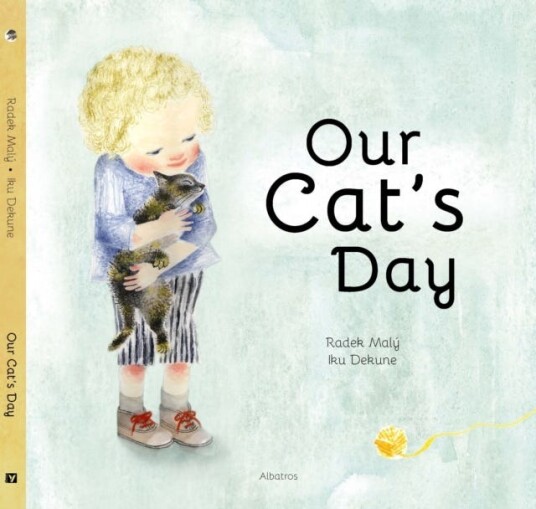 Our Cat's Day Our Cat's Day