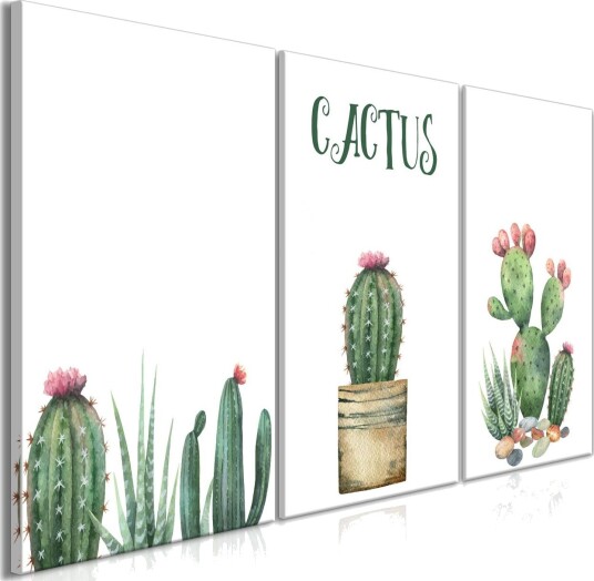Bilde Prickly Flowers 3 Parts 120x60 Artgeist sp. z o. o.