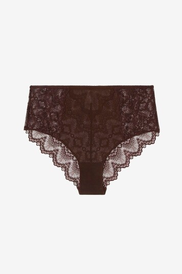 Understatement Blondetruser Lace Mesh Highwaist Briefs Brun
