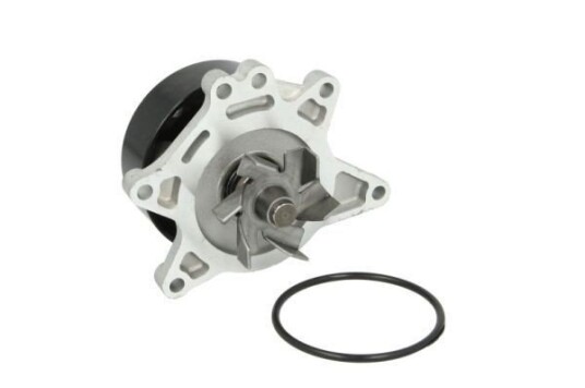 THERMOTEC D12083TT Vannpumpe