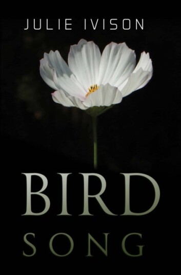 Bird Song