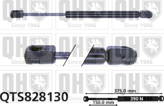 QUINTON HAZELL QTS828130 Baklukedemper